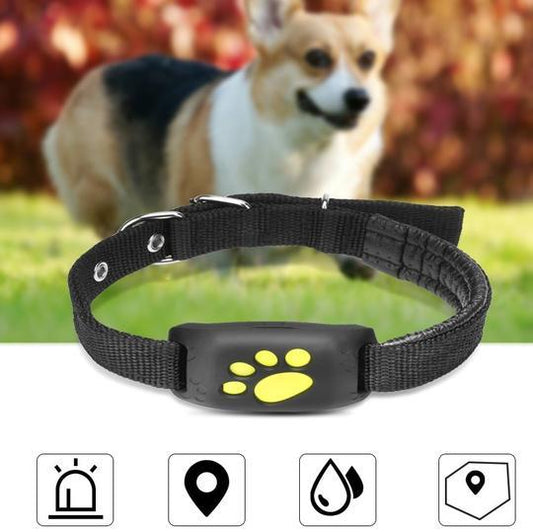 GPS Pet Tracker - The Pawfect Bargains