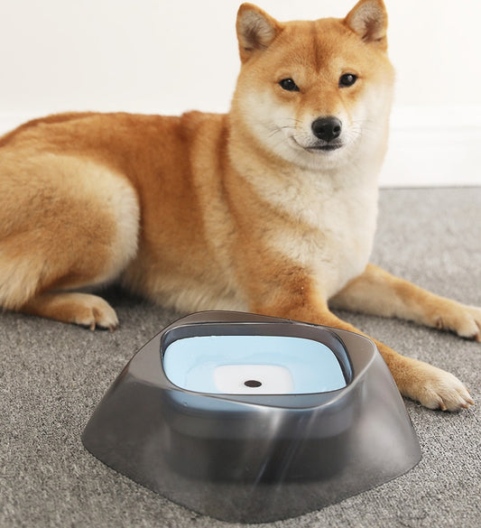 Dog sitting next to a modern pet water bowl on a carpeted floor.