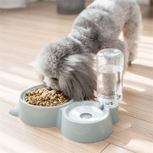 Dog eating from a bowl with a water dispenser on a wooden floor