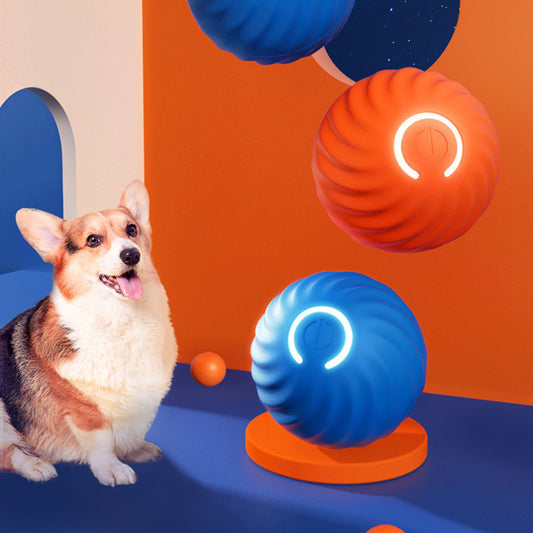 Pet rubber training ball - The Pawfect Bargains