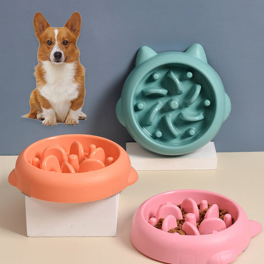 Pet Slow Feeder Bowls - The Pawfect Bargains