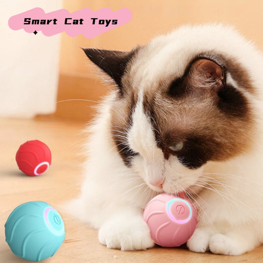 Smart, interactive, automatic rolling ball - The Pawfect Bargains