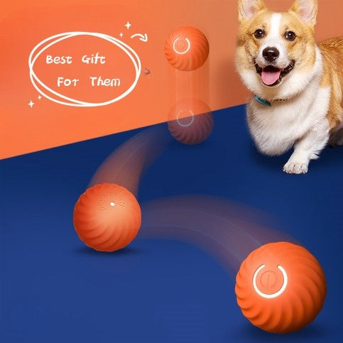 Pet rubber training ball - The Pawfect Bargains