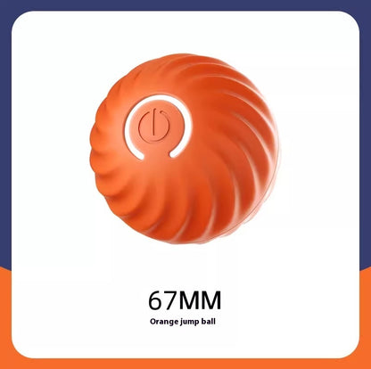 Pet rubber training ball - The Pawfect Bargains