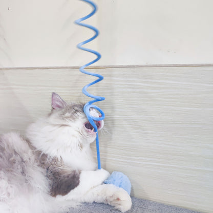 Cat playing with a blue spiral toy against a neutral background