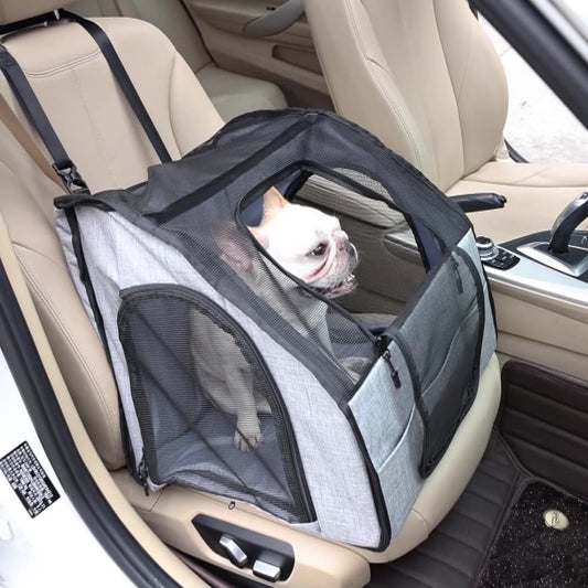 Pet carrier with a dog inside on a car seat