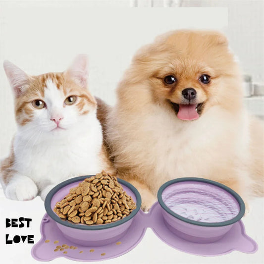 Cat and dog with purple pet bowls containing food and water on a white background