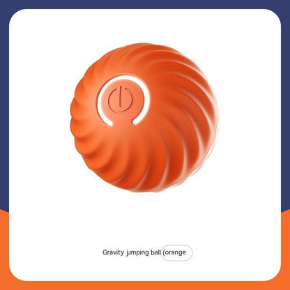 Pet rubber training ball - The Pawfect Bargains