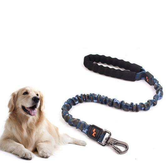Dog with a blue and black dog leash on a white background