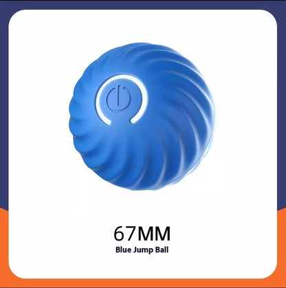 Pet rubber training ball - The Pawfect Bargains