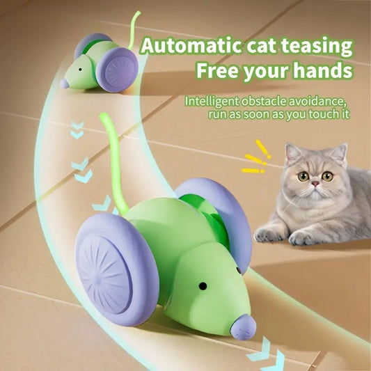 Interactive Electric Mouse Car - A fun teaser toy - The Pawfect Bargains